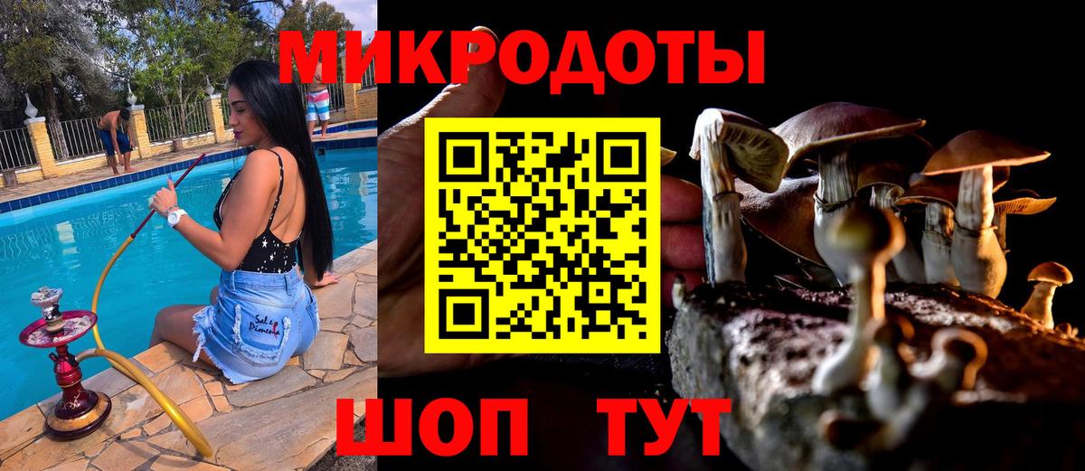 Галлюциногенные грибы мицелий Мытищи