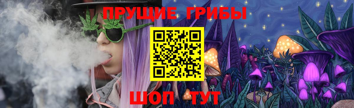 Мытищи  Псилоцибиновые грибы Psilocybe  Вход с VPN 